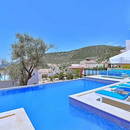 Mary Villa